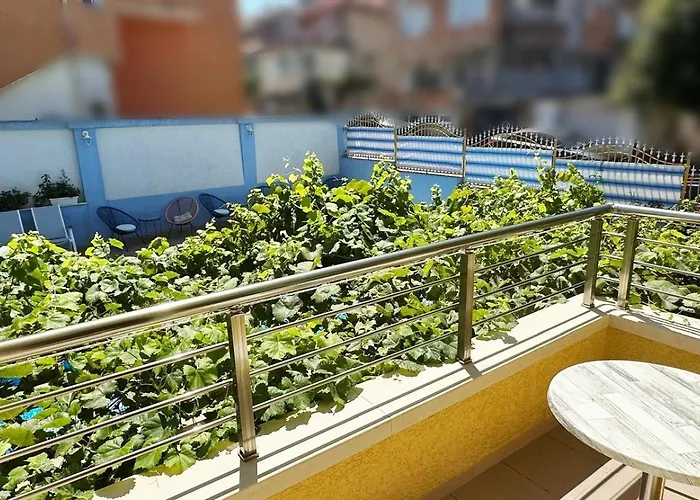 Hotel Hedi