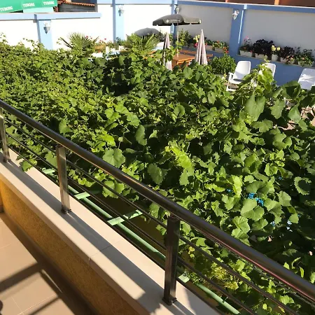 Hedi * Созополь