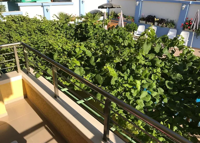 Hedi * سوزوبول