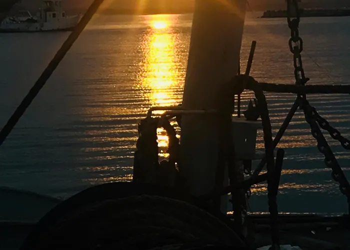 Hedi Sozopol