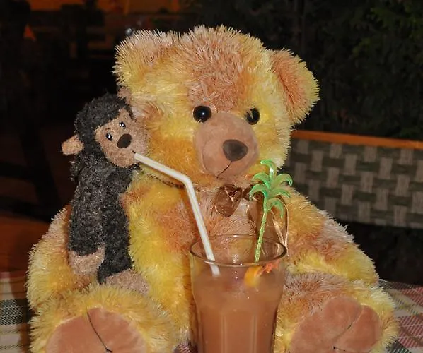 Hedi * سوزوبول